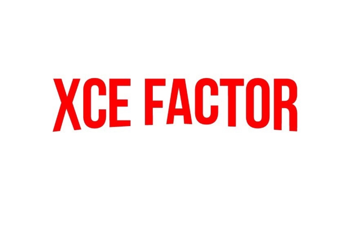 Успей подать заявку на XCE FACTOR до 15 февраля!